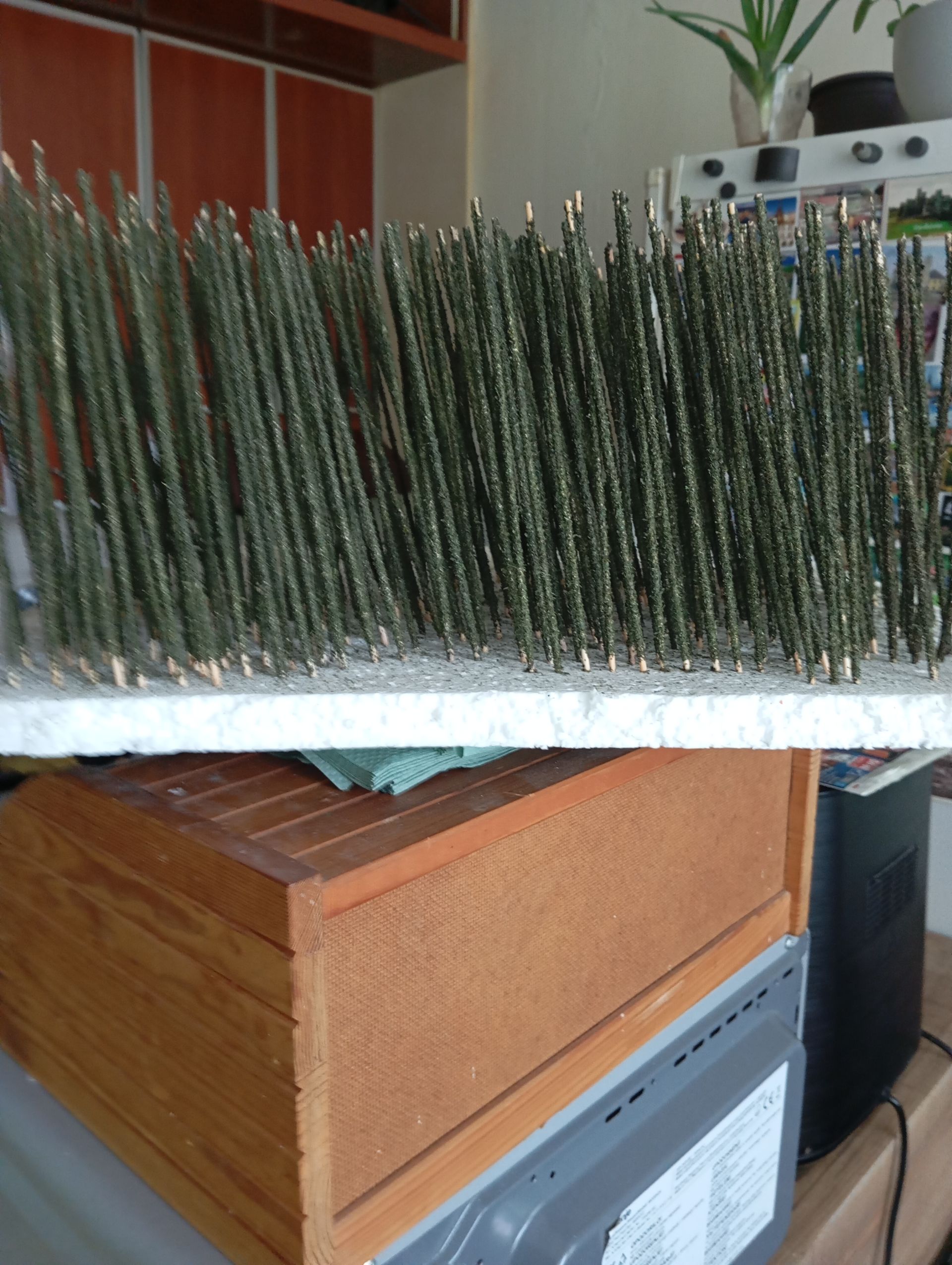 LIZATKA kopřivové pro KREVETY