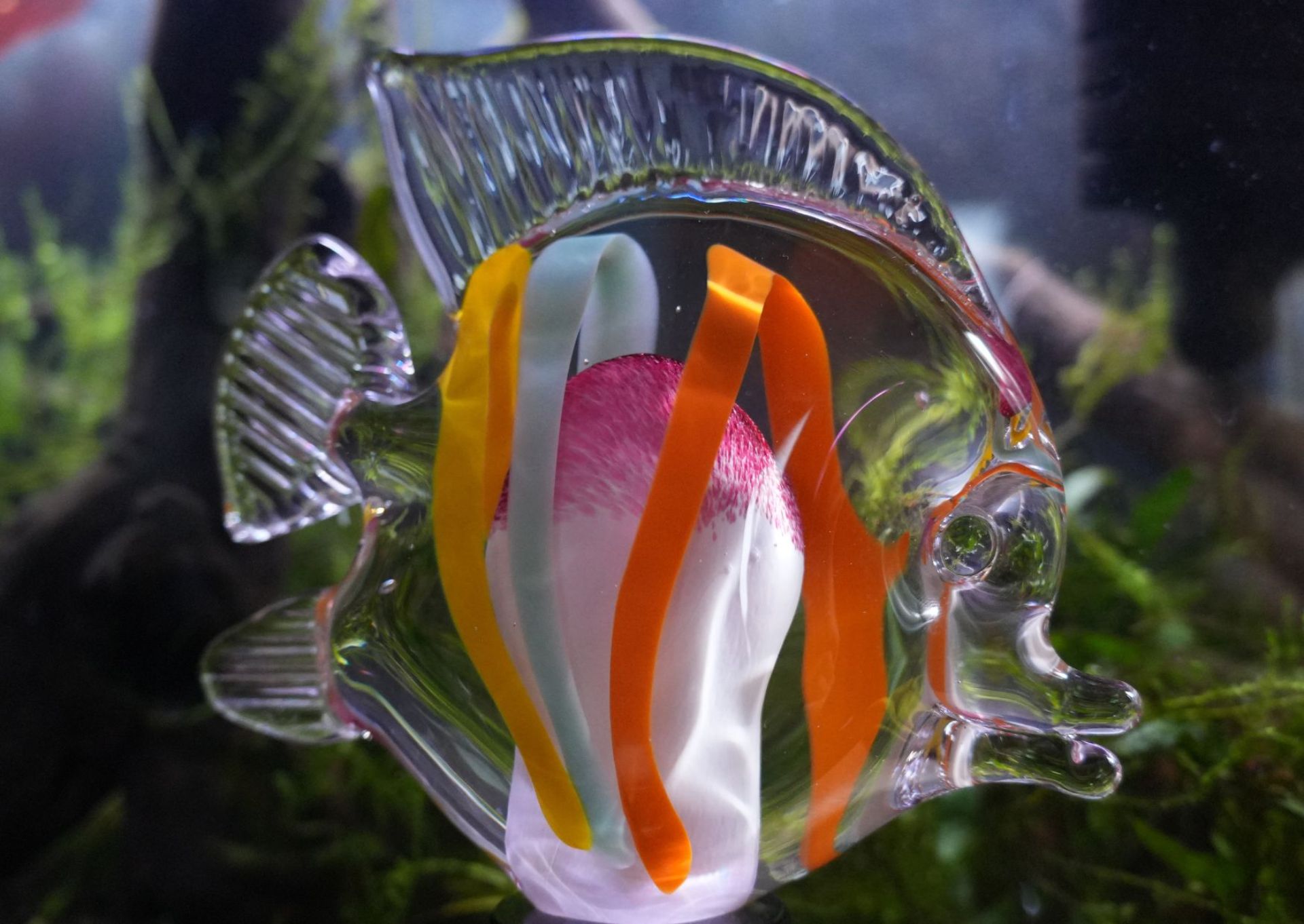 Skleněná ryba dekorativní - skvělý dárek