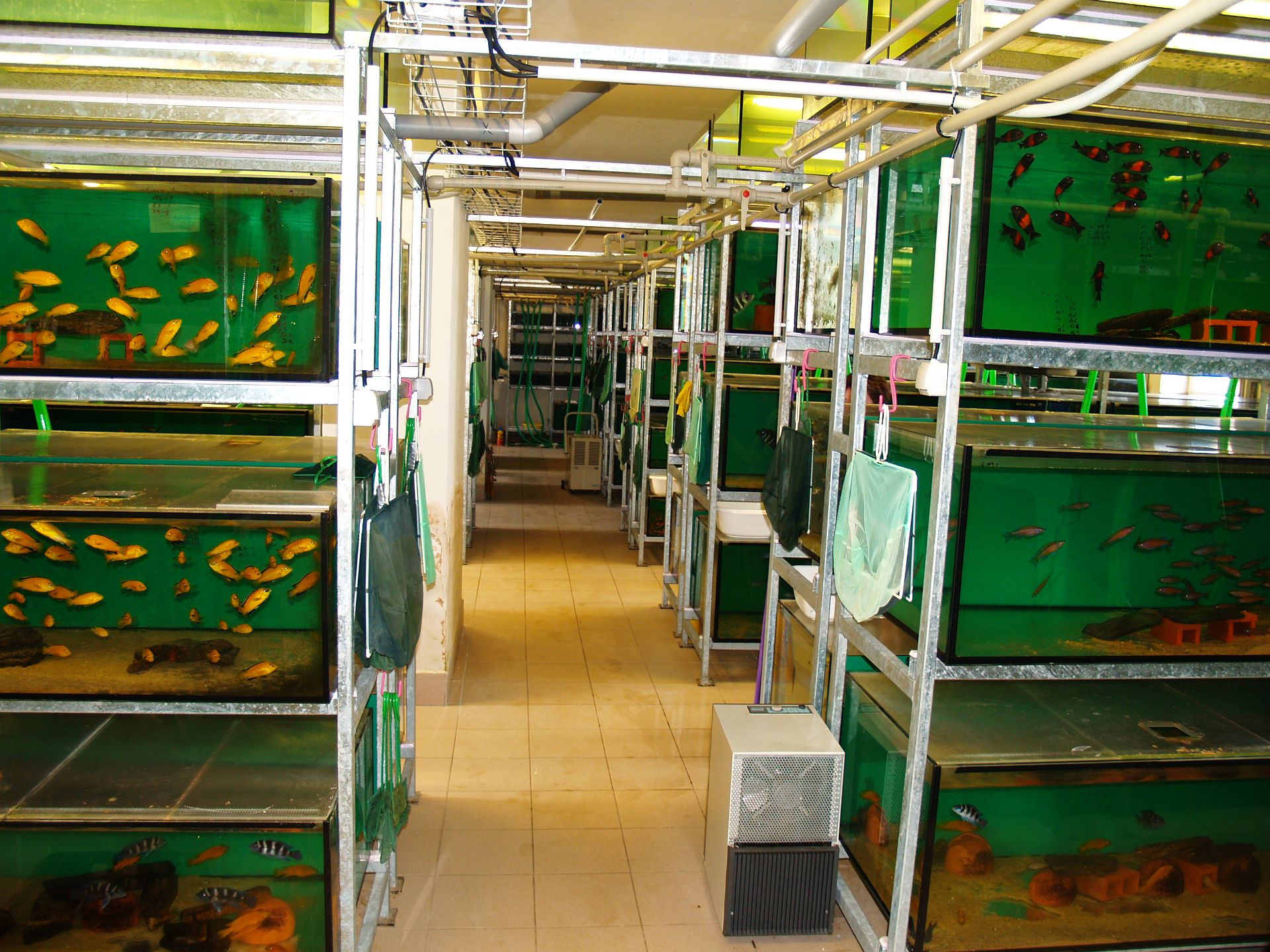 MODERNES AQUARIUM-FISCHZUCHTHAUS ZUM SYMBOLISCHEN PREIS