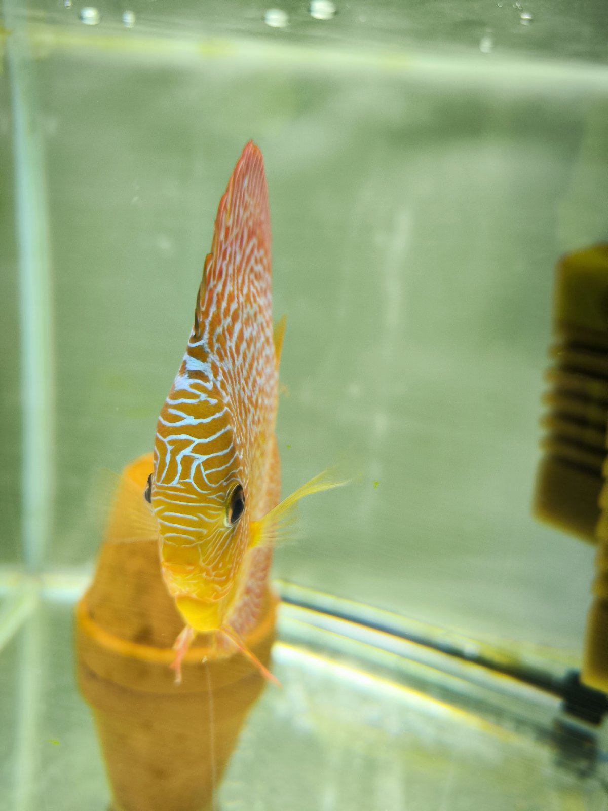 Ryby a celá rybárna