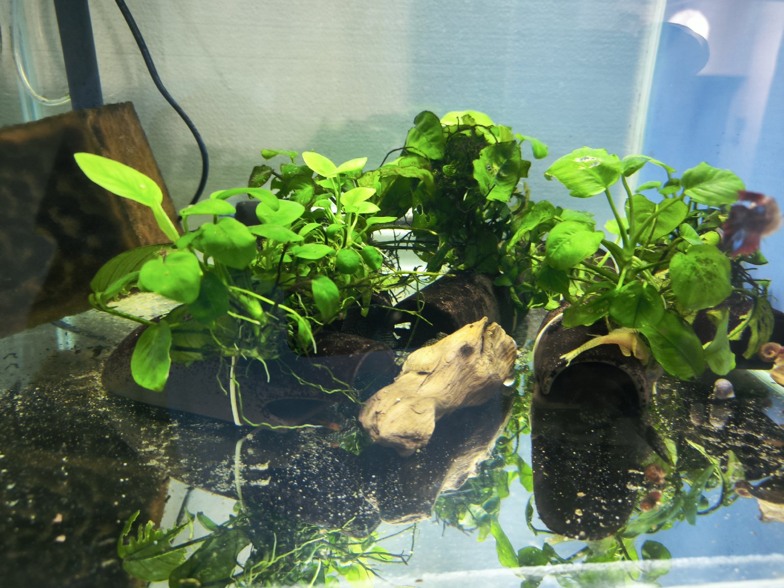 Prodej rybárny ryb nádrží regálů techniky