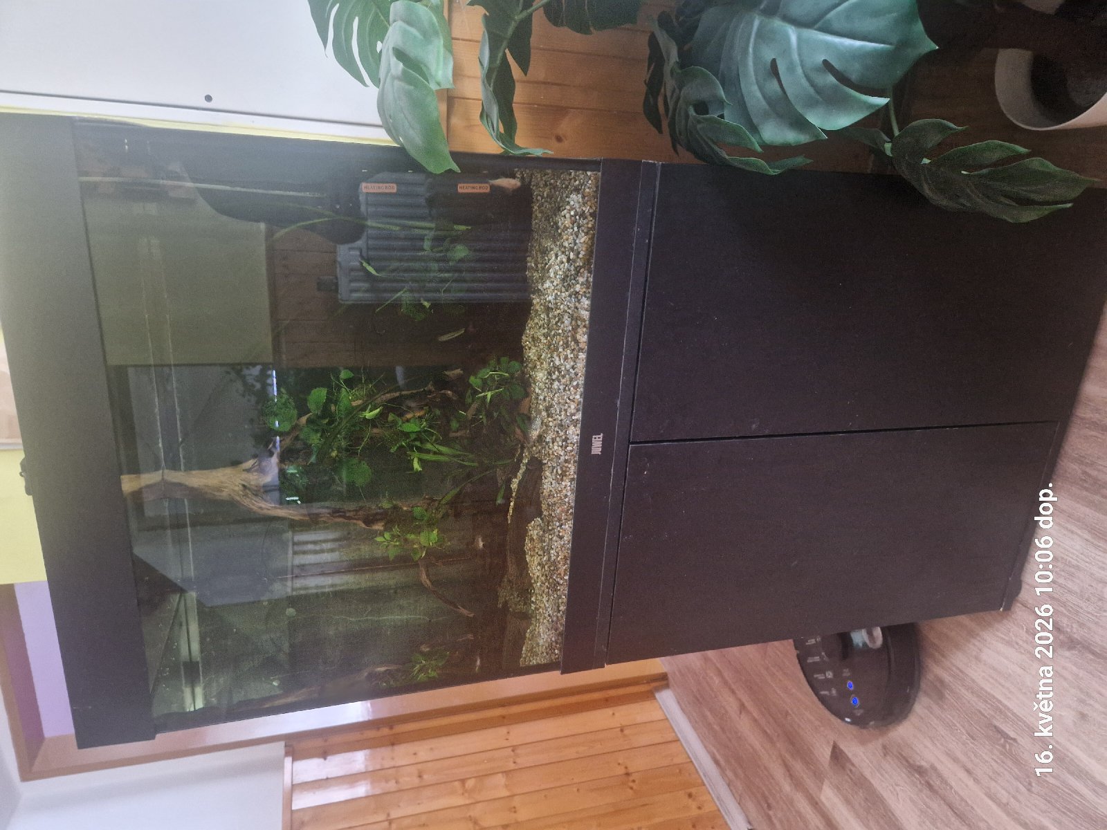 Akvárium