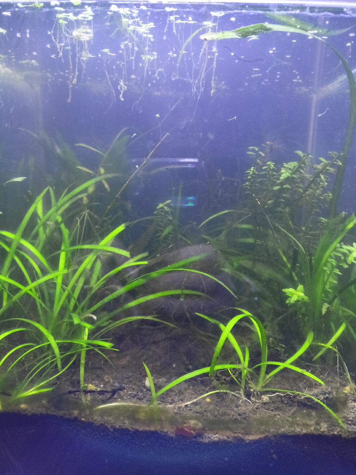 Dvě 20l krychličky