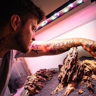 Marek Lexa Aquascaping